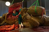 T-Rex Autopsie – UNITED KINGDOM - Drs. Luke Gamble and Tori Herridge catch their breath after lifting the T. Rex’ heavy internal organs out of the body.