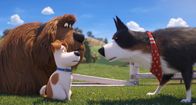 Pets 2 – L-R: Duke (Eric Stonestreet Synchronsprecher), Max (Patton Oswalt Synchronsprecher), Rooster (Harrison Ford Synchronsprecher)