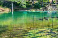 Heimatleuchten – Grüner See