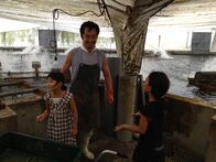 Wanderer zwischen den Welten - Das Rätsel der Aale – Aalzüchter mit seinen Töchtern in Hamamatsu, Japan