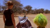 OLI's Wilde Welt - In Afrika – OLI ist kein so guter Zeltaufbauer.