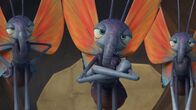 Insectibles – Insectibles (2014-2016)