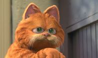 Garfield – Garfield