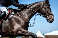 Springreiten: Global Champions Tour – Springreiten