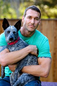 Der Hundetrainer - Lucky Dogs – Brandon McMillan