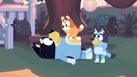 Bluey – Sa, 05.07., 18:05 Uhr