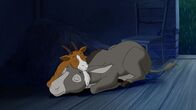 Bibi und Tina – Zu zweit ist es überall gemütlich!