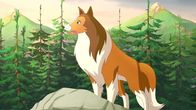 Lassie – Lassie ist stets hilfsbereit.