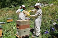 Kleines Land ganz groß – Mensch und Tier sind aufeinander angewiesen. Im kurzen Sommer sind die Bergwiesen ein Paradies für Bienen und Imker.