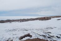 Mysteriöse Inseln – Mysteriöse Pinguinreste werden auf Lamplugh Island entdeckt, einem Ort, der für diese kurzbeinigen Kreaturen unerreichbar ist. (Kredit: Steven Emslie)