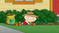 Family Guy – Stewie Griffin