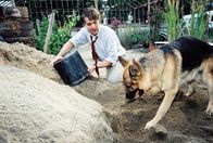 Kommissar Rex – Marc (Alexander Pschill) und Rex versuchen mit allen Kräften, die verschüttete Elli Lischka auszugraben.