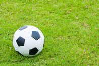 Fußball: Conference-League-Qualifikation – Soccer ball