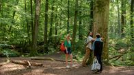 Rote Rosen – Toni (Sarah Buchholzer l.) und Simon (Thore Lüthje M.) sind zusammen "Wald baden". Noah (Jan Liem r.) schließt sich spontan an - mit Badesachen.
