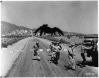 Tarantula – Als in dem Forschungslabor ein Feuer ausbricht, gelingt einer infizierten Giftspanne die Flucht ins Freie. Schnell wächst sie auf die Höhe eines Hochhauses an. Den von Panik befallenen Menschen bleibt nur noch die Flucht. Kann das mordende Spinnentier noch aufgehalten werden?