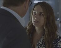 Bull – Bull (2021)
