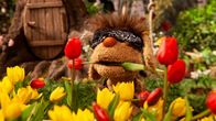Unser Sandmännchen – Moppi ist bereit für neue Abenteuer.