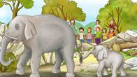 Meine Freundin Conni – Ein Ausflugstag im Kindergarten führt Conni in den Zoo. Dort lernt Conni Wissenswertes über große und kleine Tiere.
