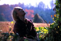 Cabin Fever – Cabin Fever (2003)