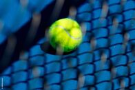 Tennis: Australian Open – Einen Ball, Melbourne, Australien; ATP World Tour, Grand Slam, Australian Open, Training, 12th of January, 2014