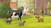 Lieselotte – Lieselotte, Hund und die Katzen spielen gemeinsam mit dem Tischtennisball.