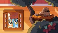 Bluey – Do, 28.11., 18:15 Uhr
