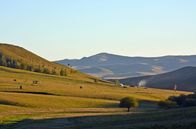 Mit dem Zug ... – Der Norden der Mongolei ist grün und bietet Weidelandschaften für die nomadischen Viehhierten.