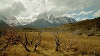 Der Humboldtstrom – Im Süden Chiles liegt der Nationalpark „Torres del Paine“.