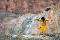 Atlas – Turtle, male lead performer - Descendance Aboriginal Dance Group. Thuringow River Festival. North Queensland. Australia.