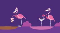 Animanimals – Ein Flamingo entdeckt ein kleines Schweinchen.