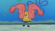 SpongeBob Schwammkopf – SpongeBob