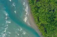Costa Rica - Der Natur zur Seite stehen – Der Corcovado-Nationalpark in Costa Rica beherbergt Lagunen, Mangrovenwälder und eine einzigartige Fauna.