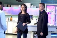 CSI: NY – CSI: NY (2013)