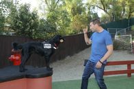 Der Hundetrainer - Lucky Dogs – (5. Staffel) - Brandon McMillan