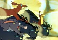 Noahs Insel – "Noahs Insel", "Gnus auf Trampelpfaden." Noahs Insel treibt vor der Küste Afrikas, und Rocco, Rick und alle anderen Tiere afrikanischer Herkunft spielen verrückt. Die Geierstaffel entdeckt einen Zoo auf dem Festland, der von den Menschen aufgegeben wurde. Die Tiere in den Käfigen drohen zu verhungern. Rocco beschließt, an Land zu gehen und sie zu befreien. Noah findet das sehr gefährlich und schickt die starke Bärin Ursula und Rocco die Zootiere befreien. Eines der Tiere, ein altes Warzenschwein, entpuppt sich als Roccos Freund aus Kindertagen. Bald schwelgen die beiden in Erinnerungen. Ursula dagegen hat die Nase voll von ihrem Ausflug und kehrt allein zur Insel zurück. Dort zieht inzwischen eine Gnuherde unbeirrbar ihre Kreise. Die Gnus nehmen alles auf die Hörner, was sich ihnen in den Weg stellt.