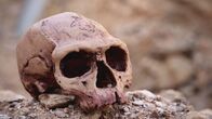 Katastrophen der Erdgeschichte – Nach dem Aussterben der Dinosaurier treten die Säugetiere ihren Siegeszug an. Darunter auch der moderne Mensch, der Homo sapiens. Dieser lebt bereits vor über 300.000 Jahren in Afrika.