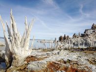 Kontinente in Bewegung – Spektakuläre Landschaft im Yellowstone-Nationalpark
