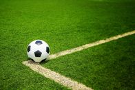 Fußball: Serie A – Soccer football field and a ball