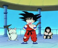 Dragonball – Fr, 27.03., 16:45 Uhr