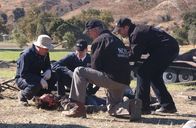 Navy CIS – v.r.) und Tony (Michael Weatherly, r.) gehen dem nach ...