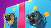 Welpen Freunde – L-R: Rolly, Bingo