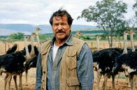 Einmal so wie ich will – John (Götz George), der eigenbrötlerische Straußenfarmer bei der Arbeit.