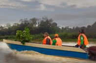 Paradiese aus Menschenhand – Bäume auf dem Boot: unterwegs zum Wiederanpflanzen von Regenwald