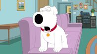 Family Guy – Brian Griffin