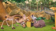 Madagascar - Die kleine Wildnis – Sa, 11.01., 07:01 Uhr