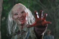 Wrong Turn 3 – Als die berüchtigte Kannibalensippe von Three-Fingers (Borislav Iliev) wieder auf Beutefang geht, zeltet unglücklicherweise eine Gruppe junger Leute in ihren Wäldern und ein Gefangenentransport ist dort ebenfalls unterwegs. Für das hungrige Völkchen steht ein Festschmaus in Aussicht ...
