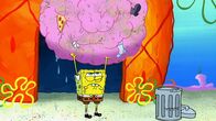SpongeBob Schwammkopf – SpongeBob