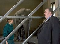 Der Dicke – Gregor Ehrenberg (Dieter Pfaff, r.) trifft Marianne Sobinski (Antje Westermann, l.) im Elefantenhaus.