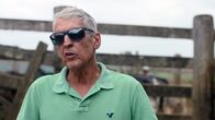 WELTjournal + – Gegen illegale Abholzungen im Amazonas sind die Ordnungshüter Brasiliens weitgehend machtlos.