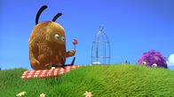 Kiwi & Strit – Kiwi(l.) hat ein neues Haustier.